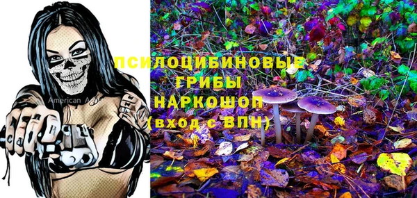бутират Баксан