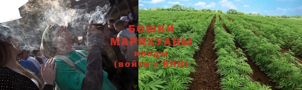бутират Баксан